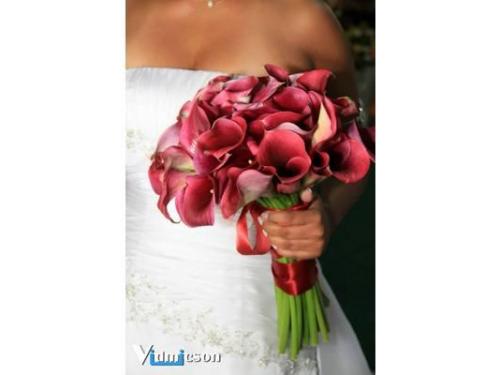 ST Cerimonial - cerimonial para casamentos