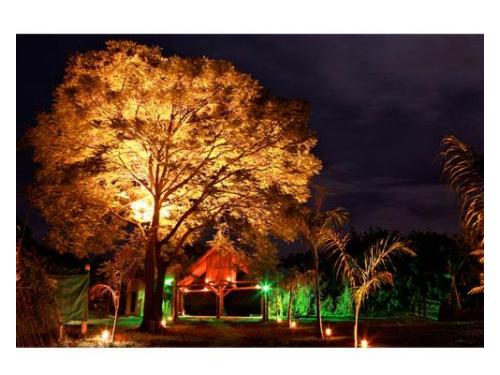 Espaço para casamento com natureza ao redor