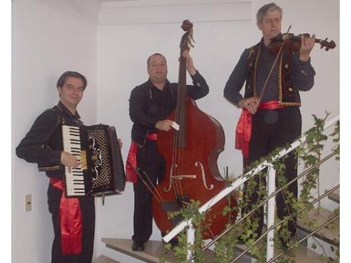 Violinos de são paulo música para casamento