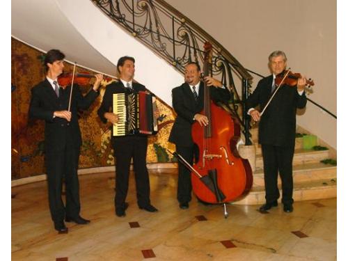 Violinos de são paulo música para casamento