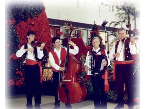 Violinos de são paulo música para casamento
