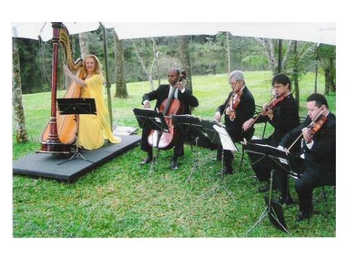 Harpa e quarteto de cordas
