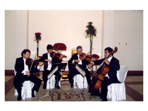 Quarteto de cordas