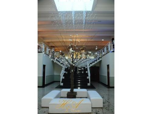 H2A Eventos São Paulo