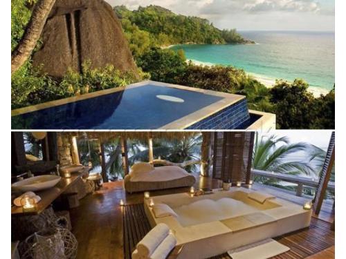 Banyan tree - seycheles