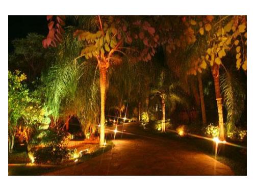 Letícia Fridel Ceremonial