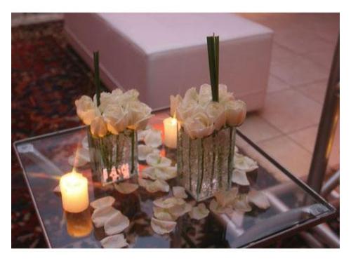 Letícia Fridel Ceremonial