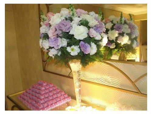 Denise Nunes Assessoria São Paulo