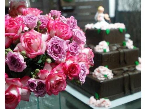 Denise Nunes Assessoria São Paulo