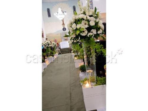 Denise Nunes Assessoria São Paulo