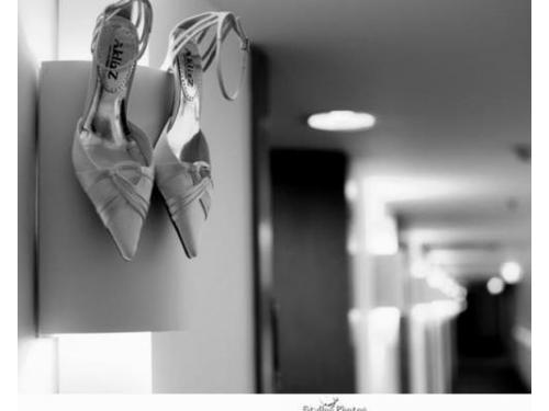 Eventos Especiais, assessoria e artigos