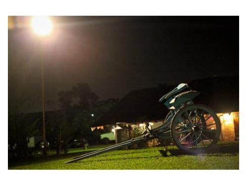 Studio Muller Fotografia Paulínia