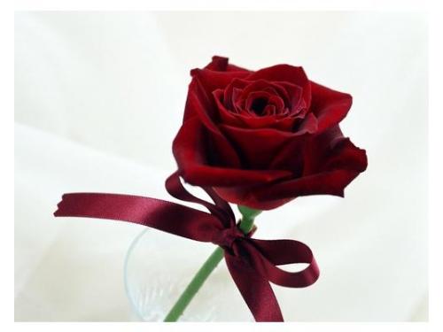 Ritual simbólico da rosa