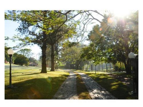Um lindo espaço para casamento no campo