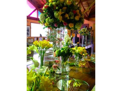 7 anos de experiência