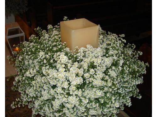 Atenção aos detalhes