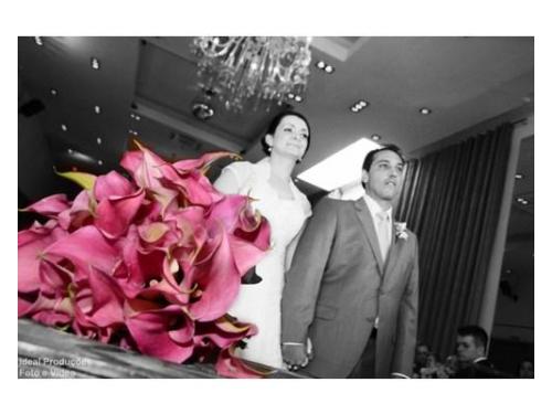 Mansão tulipas - mocca