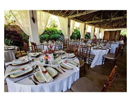 Seu casamento do jeito que você sempre sonhou