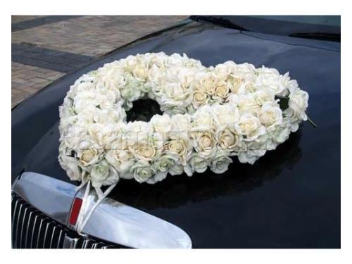 10 anos de experiência