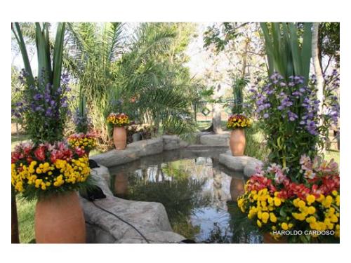 Brioso e manhoso eventos