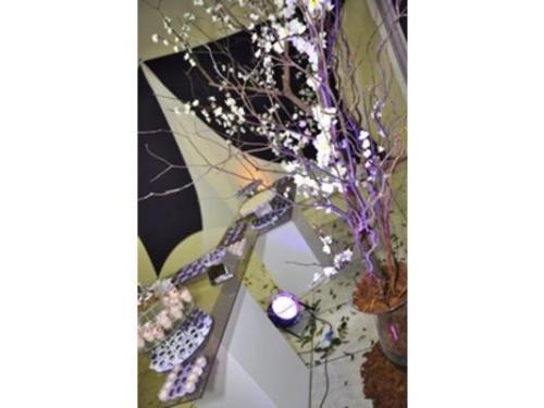 Has Klaus decoração casamento