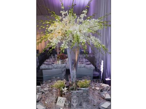 Balioni Eventos São Paulo