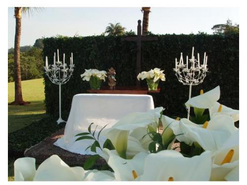 Uma cerimônia em meio à sombra dos coqueiros