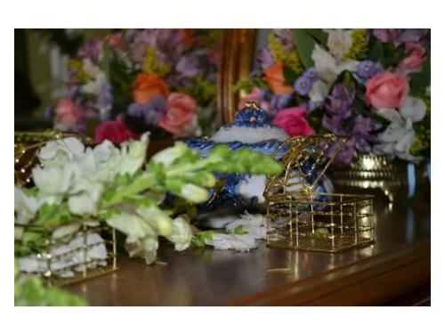 Bárbara cosmópolis