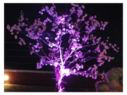 Árvore francesa iluminada