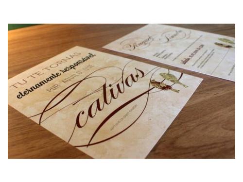 Mais info: http://rosadepapel.com.br/site/layouts/convite-passaros-fv/