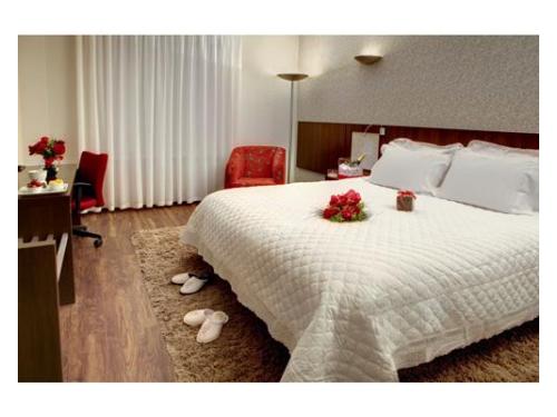 Quality hotel curitiba