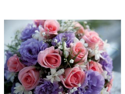 Beleza e sensibilidade