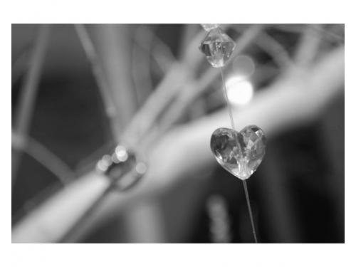 Click produções - fotos para casamento