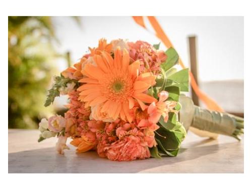 Simone lobo_porto alegre