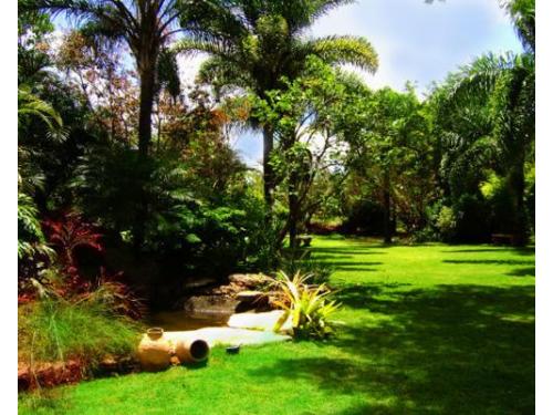 Um espaço para casamento que vai encantar você