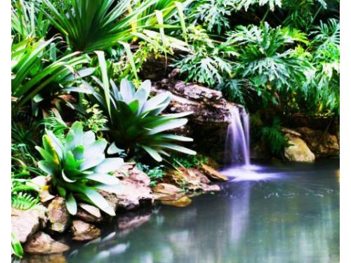 Celebre sua alegria aqui