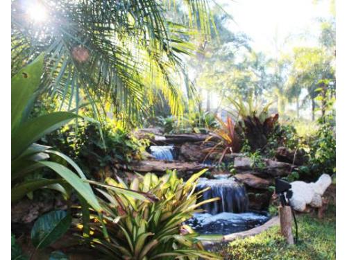 Realize seu casamento em meio a natureza