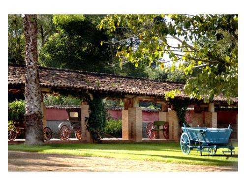 Espaço para casamento em meio a natureza