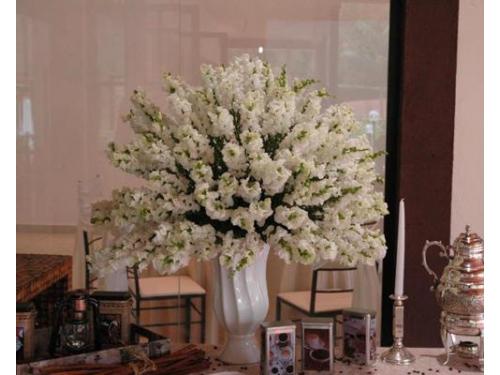 Topiaria de boca de leão