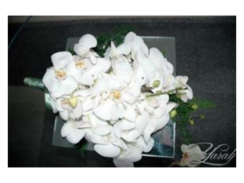Bouquet de orquídeas
