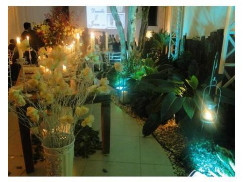 Arranjo de galhos secos