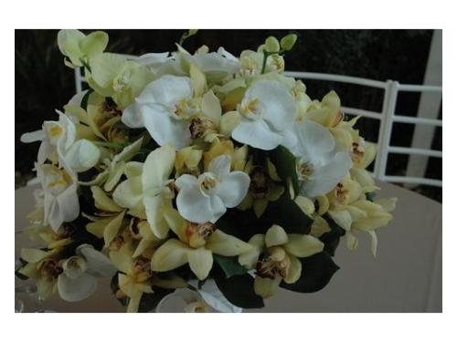 Arranjo de orquídeas