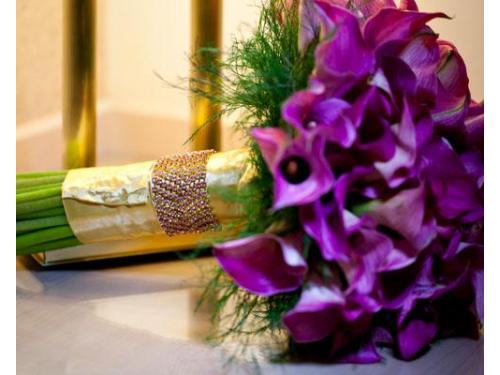 Não perca nenhum momento de sua festa