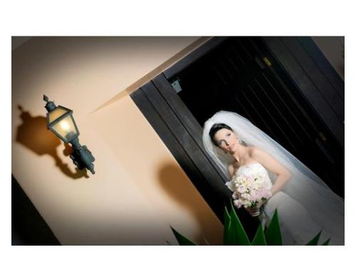 Fotos que captam toda a sua beleza