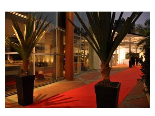 Tudo como você sempre sonhou