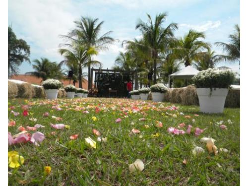 Luz do campo eventos