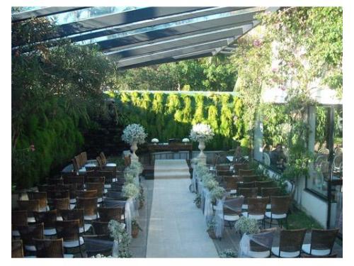 Tânia Lopes: casamentos celebrados