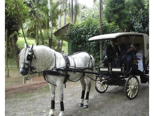Espaço ideal para seu casamento