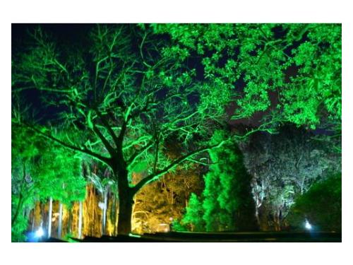 Iluminação cenográfica propria