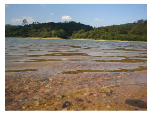 Entre em contato com a natureza.